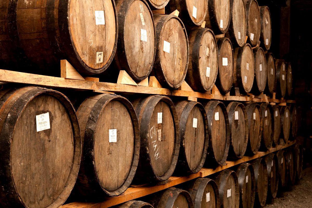 Barricas de roble en la cava